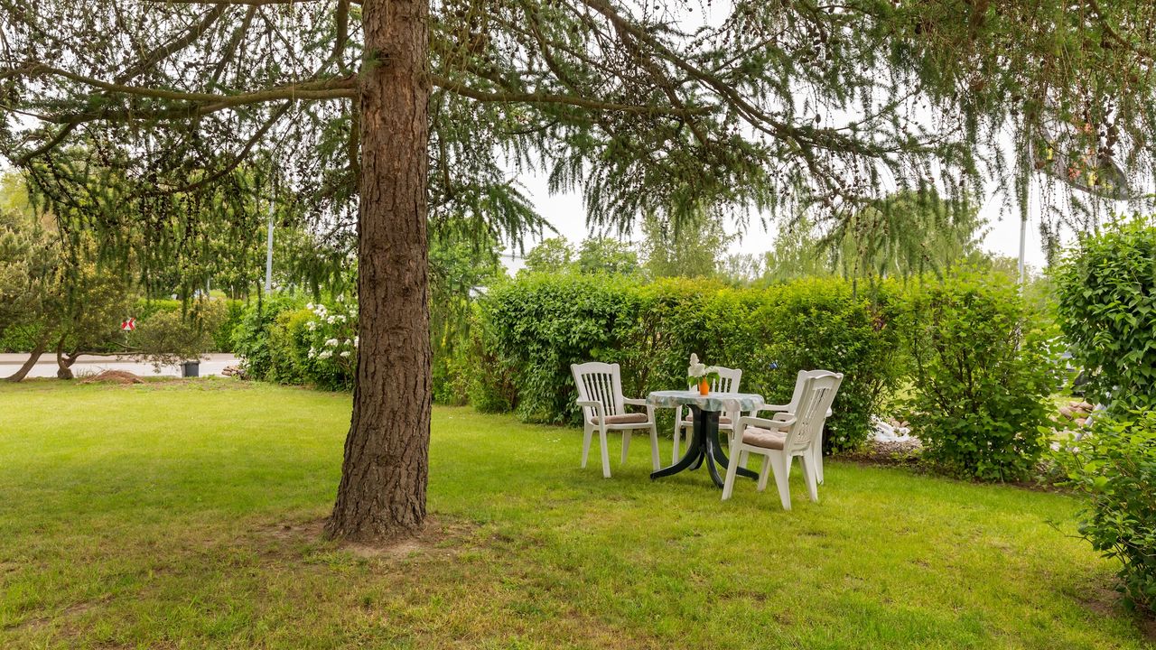 GardenSummer GardenSummer